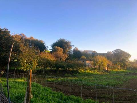 Terreno de 11.220m2 com 240m2 Urbano e Armazém, Arão, Portimão