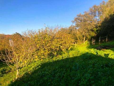 Terreno de 11.220m2 com 240m2 Urbano e Armazém, Arão, Portimão