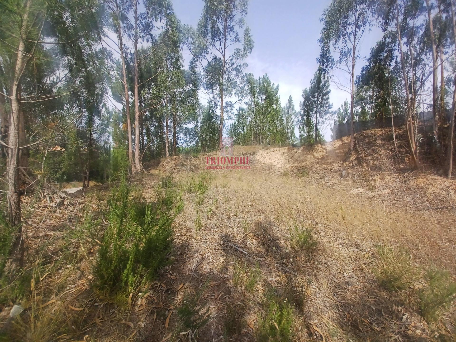 Terreno 486m2 C/ Projeto Aprovado P/ Moradia, Maceira, Leiria