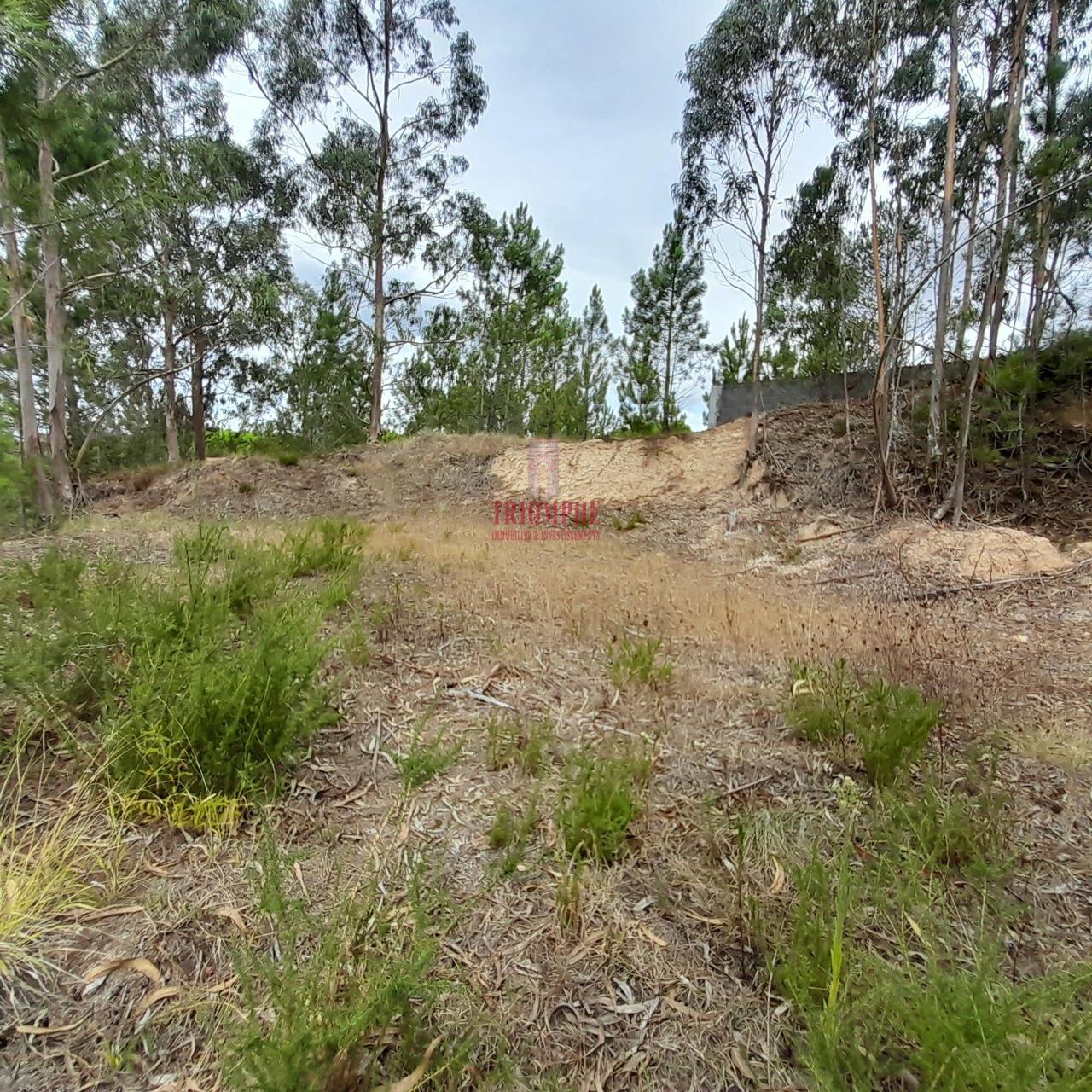 Terreno 486m2 C/ Projeto Aprovado P/ Moradia, Maceira, Leiria