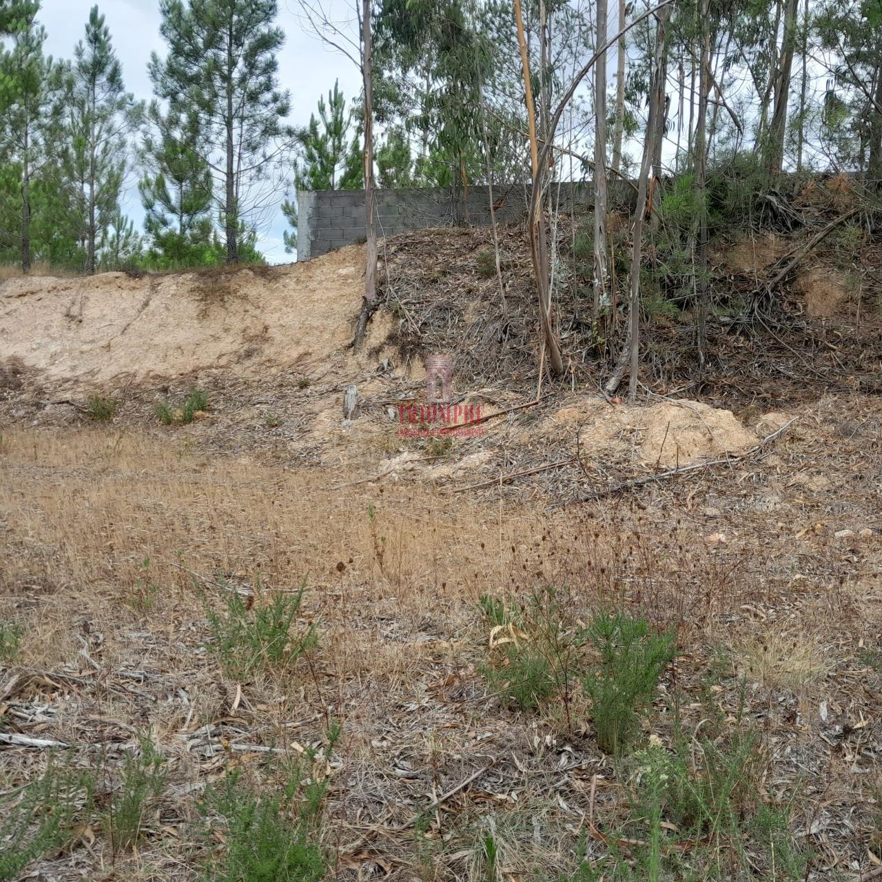 Terreno 486m2 C/ Projeto Aprovado P/ Moradia, Maceira, Leiria