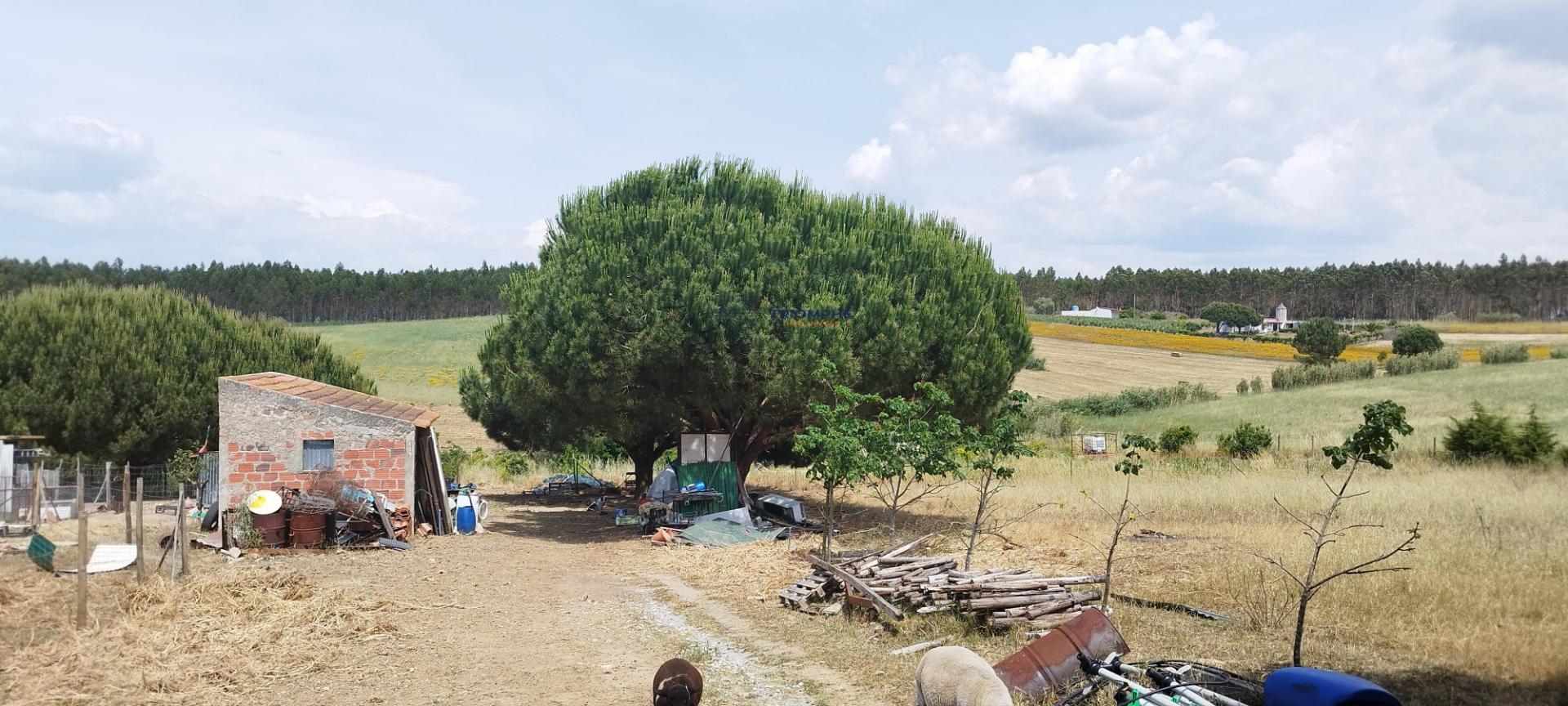 Terreno Rústico Urbanizável, A Dos Cunhados, Torres Vedras