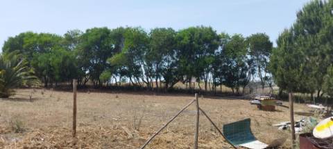 Terreno Rústico Urbanizável, A Dos Cunhados, Torres Vedras