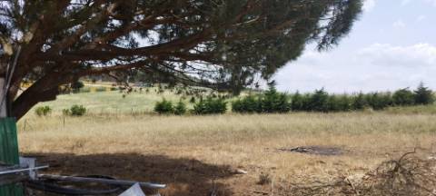 Terreno Rústico Urbanizável, A Dos Cunhados, Torres Vedras