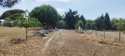 Terreno Rústico Urbanizável, A Dos Cunhados, Torres Vedras