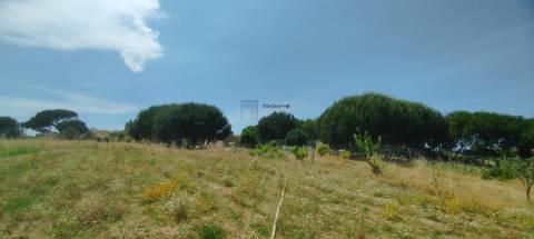Terreno Rústico Urbanizável, A Dos Cunhados, Torres Vedras