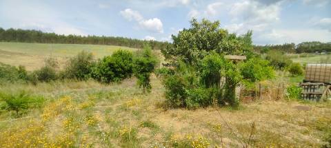 Terreno Rústico Urbanizável, A Dos Cunhados, Torres Vedras