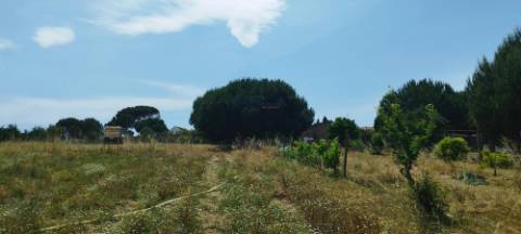 Terreno Rústico Urbanizável, A Dos Cunhados, Torres Vedras
