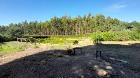 Quinta 20800m2 e Lago, C/ Projeto Aprovado P/ Moradia, Piscina e 4 T1