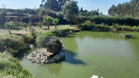 Quinta 20800m2 e Lago, C/ Projeto Aprovado P/ Moradia, Piscina e 4 T1