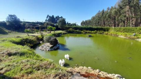 Quinta 20800m2 e Lago, C/ Projeto Aprovado P/ Moradia, Piscina e 4 T1