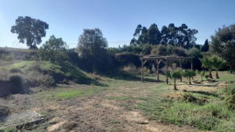 Quinta 20800m2 e Lago, C/ Projeto Aprovado P/ Moradia, Piscina e 4 T1