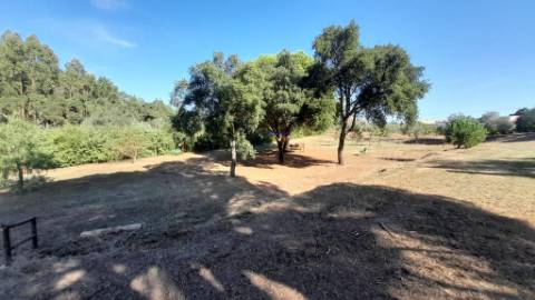 Quinta 20800m2 e Lago, C/ Projeto Aprovado P/ Moradia, Piscina e 4 T1