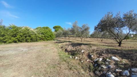 Quinta 20800m2 e Lago, C/ Projeto Aprovado P/ Moradia, Piscina e 4 T1