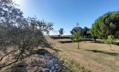 Quinta 20800m2 e Lago, C/ Projeto Aprovado P/ Moradia, Piscina e 4 T1