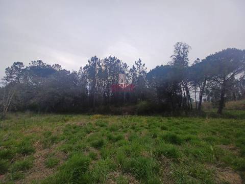 Terreno Rústico C/Poço 1.716m2 Amor Leiria