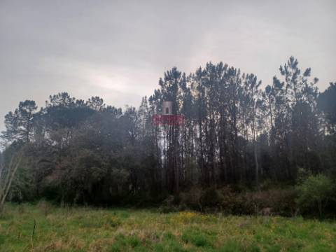 Terreno Rústico C/Poço 1.716m2 Amor Leiria