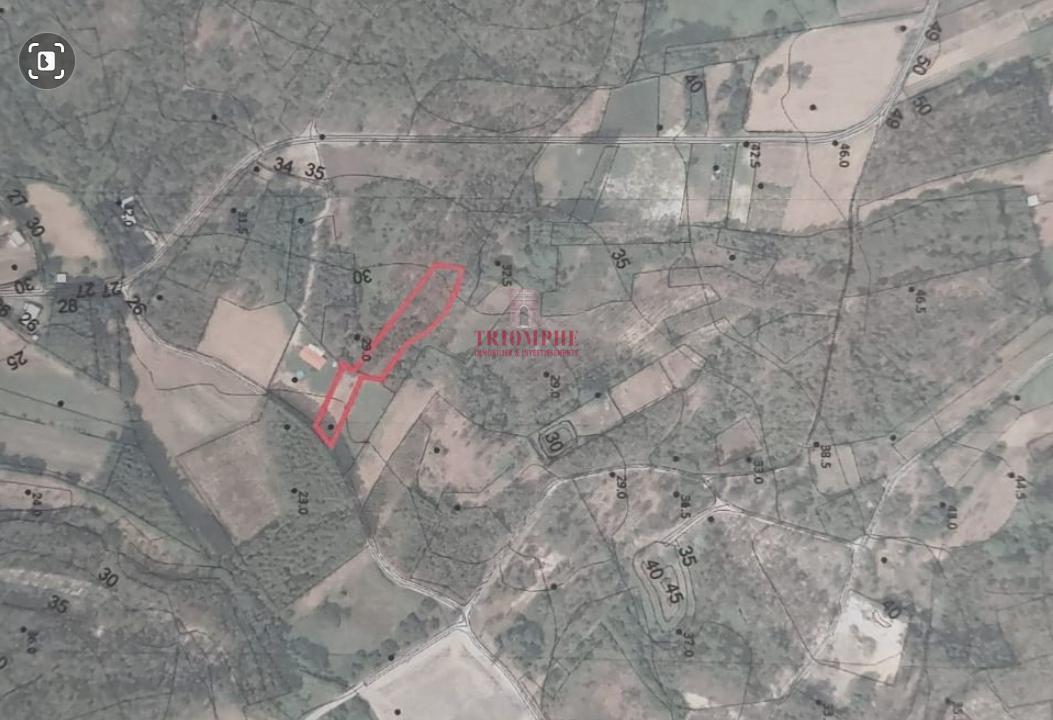 Terreno Rústico C/Poço 1.716m2 Amor Leiria