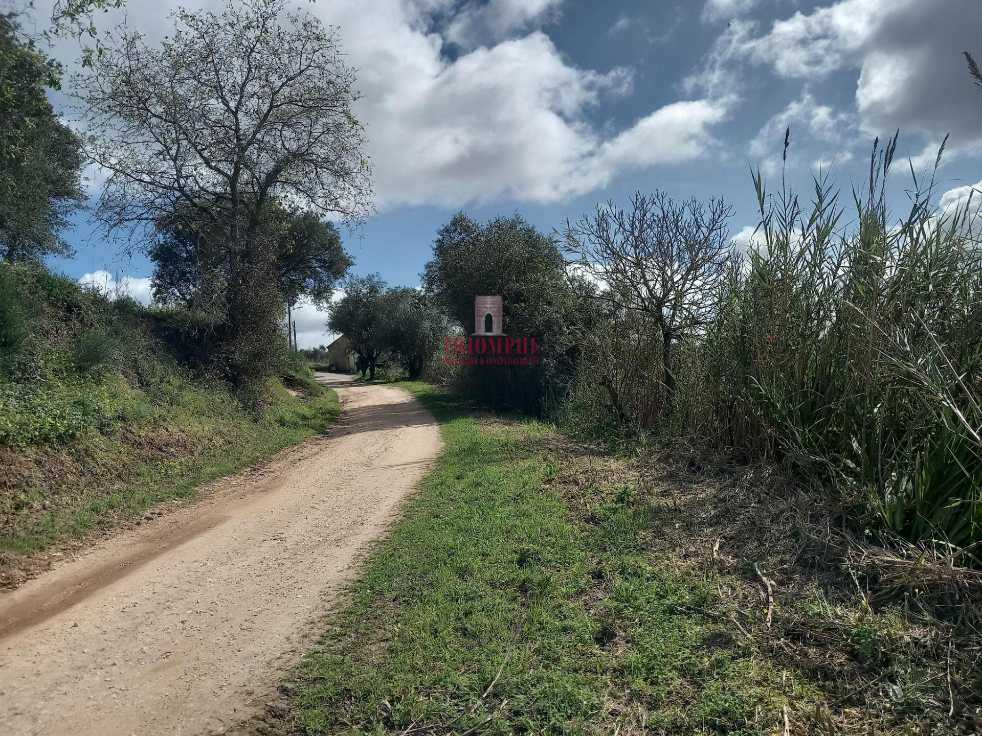 Terreno com árvores de fruto, 440m2, Relvas, Caldas da Rainha