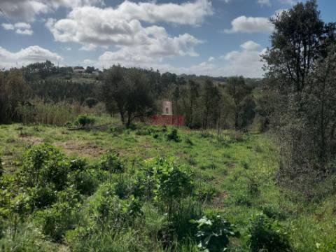 Terreno com árvores de fruto, 440m2, Relvas, Caldas da Rainha