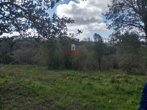 Terreno com árvores de fruto, 440m2, Relvas, Caldas da Rainha