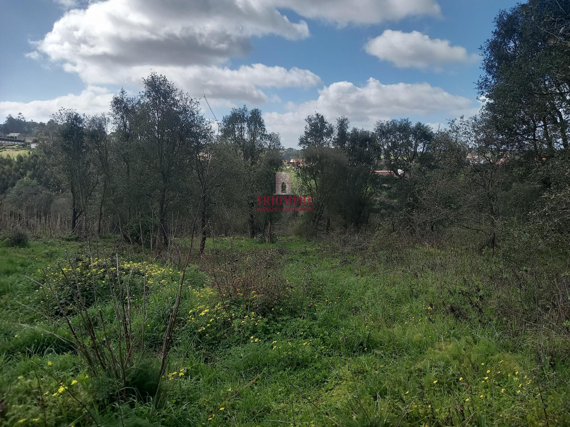 Terreno com árvores de fruto, 440m2, Relvas, Caldas da Rainha