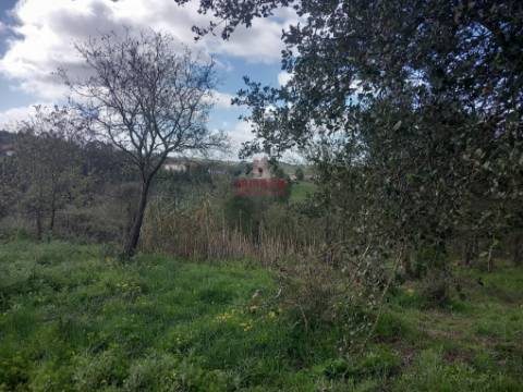 Terreno com árvores de fruto, 440m2, Relvas, Caldas da Rainha