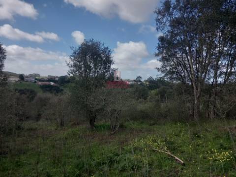 Terreno com árvores de fruto, 440m2, Relvas, Caldas da Rainha