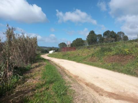 Terreno com árvores de fruto, 440m2, Relvas, Caldas da Rainha
