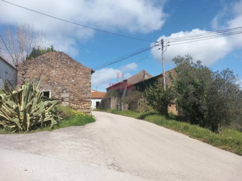 Terreno com árvores de fruto, 440m2, Relvas, Caldas da Rainha