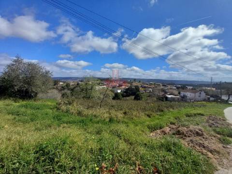 Terreno com árvores de fruto, 440m2, Relvas, Caldas da Rainha