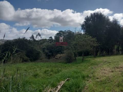 Terreno com árvores de fruto, 440m2, Relvas, Caldas da Rainha