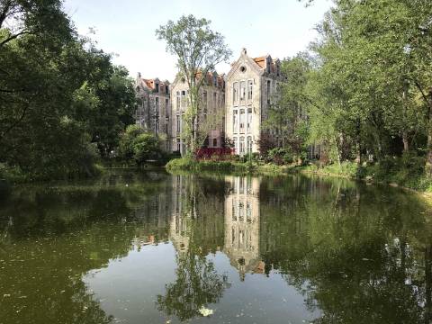 Terreno com árvores de fruto, 440m2, Relvas, Caldas da Rainha