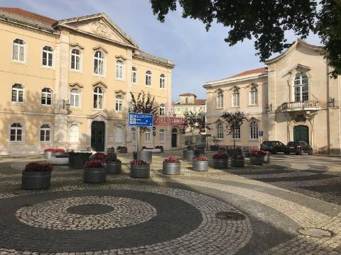 Terreno com árvores de fruto, 440m2, Relvas, Caldas da Rainha