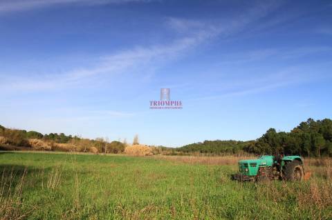 Terreno 35.000m2, Madalena e Beselga, Tomar