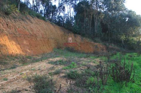 Terreno 35.000m2, Madalena e Beselga, Tomar