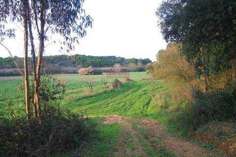 Terreno 35.000m2, Madalena e Beselga, Tomar