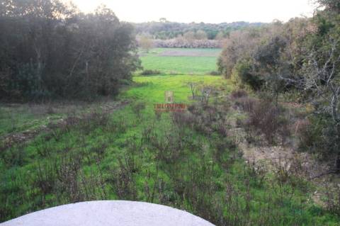 Terreno 35.000m2, Madalena e Beselga, Tomar