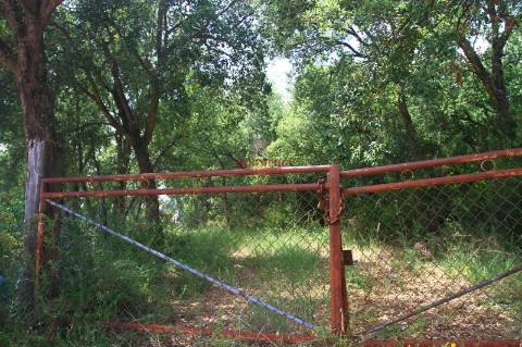 Terreno 35.000m2, Madalena e Beselga, Tomar