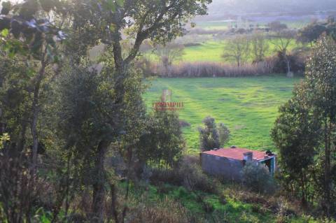 Terreno 35.000m2, Madalena e Beselga, Tomar