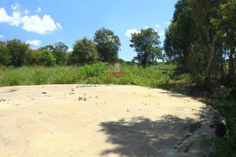 Terreno 35.000m2, Madalena e Beselga, Tomar