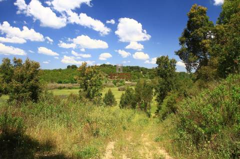 Terreno 35.000m2, Madalena e Beselga, Tomar