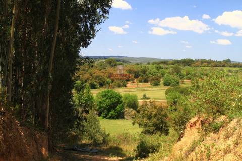 Terreno 35.000m2, Madalena e Beselga, Tomar