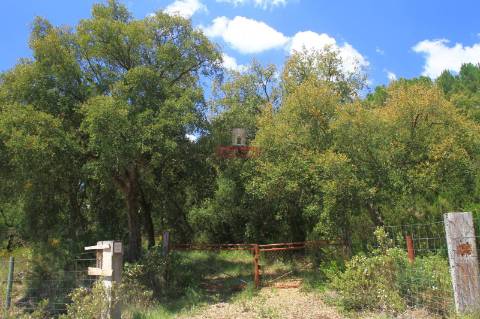 Terreno 35.000m2, Madalena e Beselga, Tomar