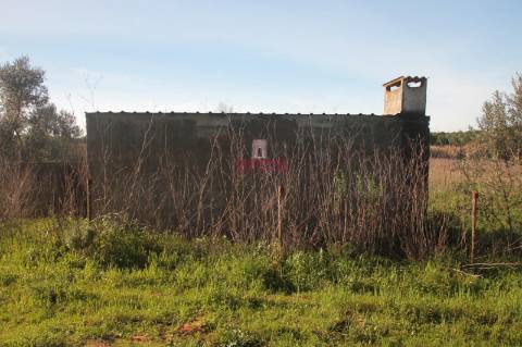 Terreno 35.000m2, Madalena e Beselga, Tomar