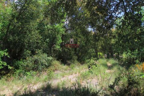 Terreno 35.000m2, Madalena e Beselga, Tomar