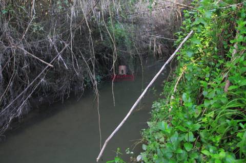 Terreno 35.000m2, Madalena e Beselga, Tomar