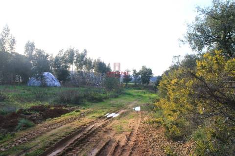 Terreno 35.000m2, Madalena e Beselga, Tomar