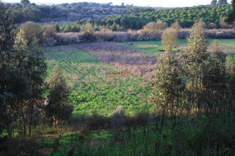 Terreno 35.000m2, Madalena e Beselga, Tomar