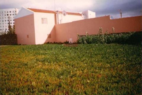 Terreno de 8012m2 com vista para as Berlengas